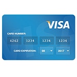 credit card input design